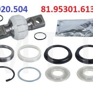 V-Arm Bush Kit-Man 16-290