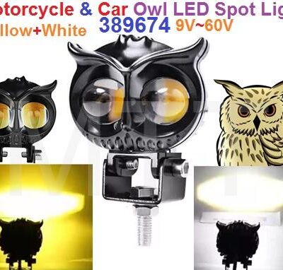 Led Spot Light & Working Light