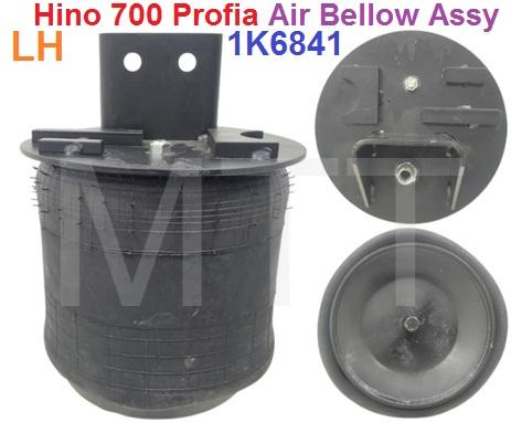 Air Bellow Assy-Hino 700 PROFIA ( LH )