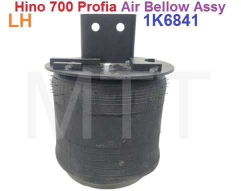 Air Bellow Assy-Hino 700 PROFIA ( LH ) - Image 5