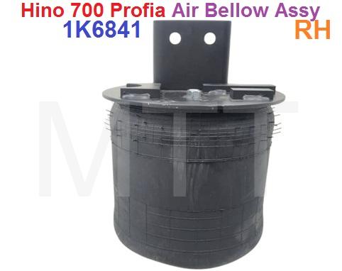 Air Bellow Assy-Hino 700 PROFIA ( RH ) - Image 5