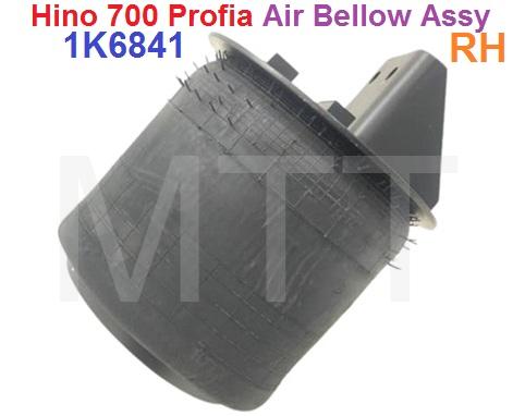 Air Bellow Assy-Hino 700 PROFIA ( RH ) - Image 4